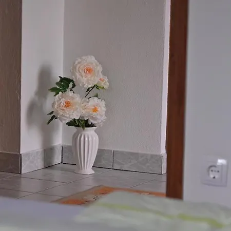 Bijeli Cvijet * Glamocani