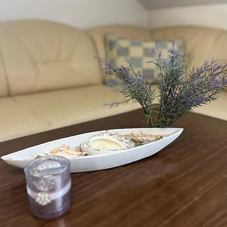 Apartment Bijeli Cvijet *