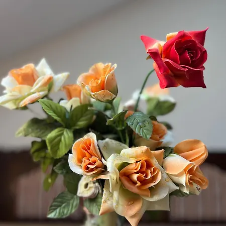 Appartamento Bijeli Cvijet Glamocani