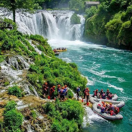 Bijeli Cvijet Glamocani