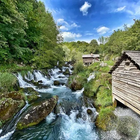 Bijeli Cvijet * Glamocani