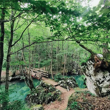 Bijeli Cvijet Appartamento