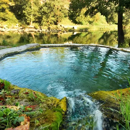 Bijeli Cvijet Glamocani