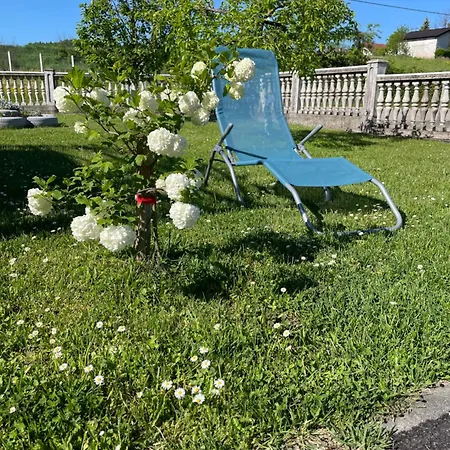 Bijeli Cvijet Glamocani